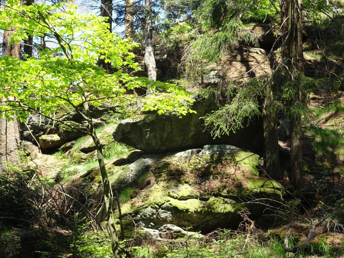 Cu-Ferienwohnungen - Nur Fuer Urlaubsgaeste Grafenwiesen Exterior foto
