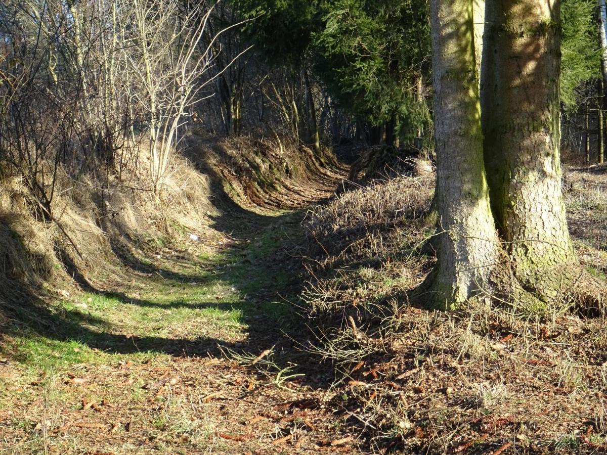 Cu-Ferienwohnungen - Nur Fuer Urlaubsgaeste Grafenwiesen Exterior foto